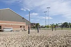 Beach volleyball