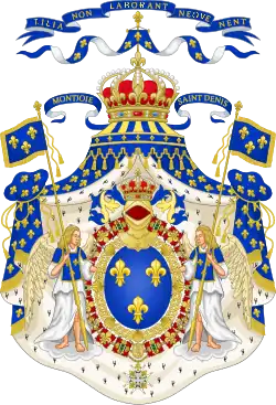 A cloud compartment in the coat of arms of the Kingdom of France.