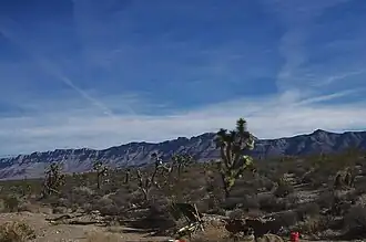 Grand Wash Cliffs, from Pierce Ferry Road