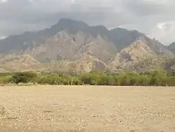 Grazing land and hills at Pante Macassar