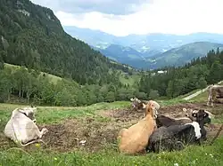 Hiking near Lepenatka and Rogatec