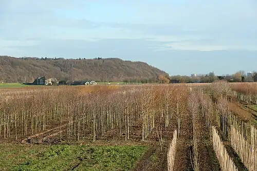 Picture of Grebbeberg