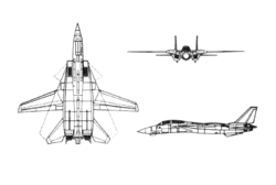 3-view line drawing of the Grumman F-14 Tomcat
