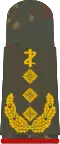Generalober­stabsarzt (Dental medicine)