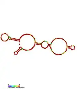 HOTAIR_4: Secondary structure taken from the Rfam database. Family RF01907