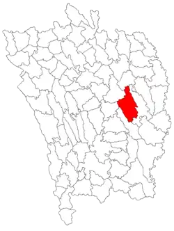 Location in Vaslui County