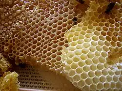 Honeycomb