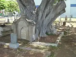 Honolulu Catholic Cemetery