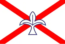 House flag of Irish Continental Line (1973–1978)