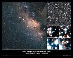 White Dwarfs in Milky Way's Central Hub[62]