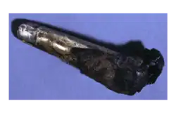 Mummy finger encased in silver stall