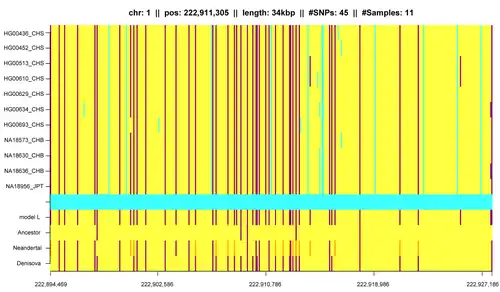 An IBD segment identified by HapFABIA in the 1000 Genomes