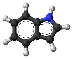 Ball-and-stick model of indole