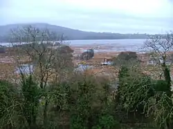 View towards Poulaphouca Reservoir aka Blessington Lake from the castle roof, December 2009