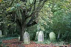 Gravestones in St Pancras and Islington Cemetery