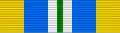 Ribbon bar of the medal of merit