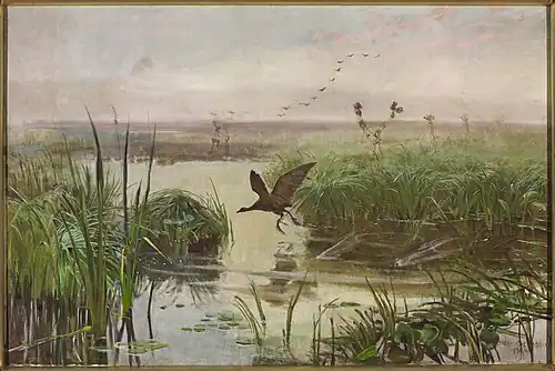 The Water Hen, 1894