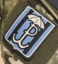 Zespoł Bojowy C, Parasol insignia