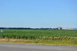 Fields south of Amboy