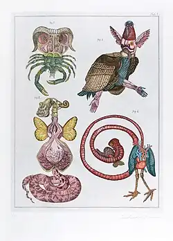 Natural Science, Tab. 1 (1973), etching