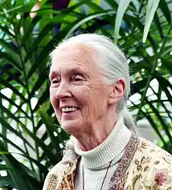 Jane Goodall, 2013