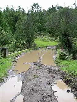 Bridge over Kathirikkai Odei, 2010