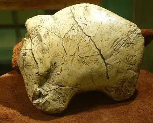 26,000-year-old mammoth carving from Predmosti, Czech Republic