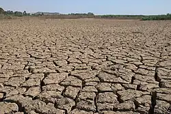 Dry, clay-filled Nile mud, in an area near Karima, Sudan which is flooded annually.
