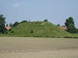 Artificial flee mountain