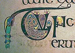 One of thousands of smaller decorated initials from the Book of Kells