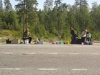 Khanty selling blueberries and stuffed animals