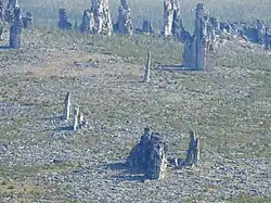 Kigilyakhs dot Arctic tundra