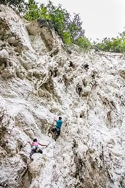 Kiokong White Rock Wall