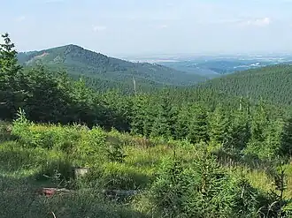 The Golden Mountains in the eastern part of the trail