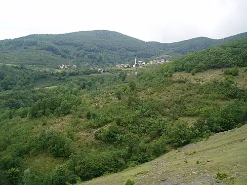 Hilly forest with town visible in the background