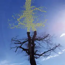 A photo of the top of a bare tree with a mirror of it consisting of the title repeating over and over in yellow coming out of the top, all in front of a clear blue sky.