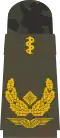 Generalarzt (hum.)