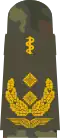 General-stabsarzt (human medicine)