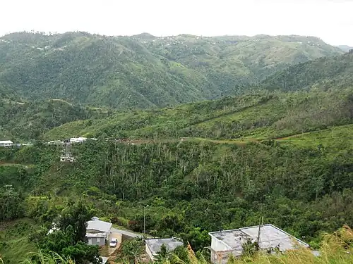 View of La Cordillera Central behind Gato