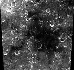 Clementine mosaic