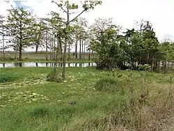 Lake Ira Lalaro floodplain and surrounding area