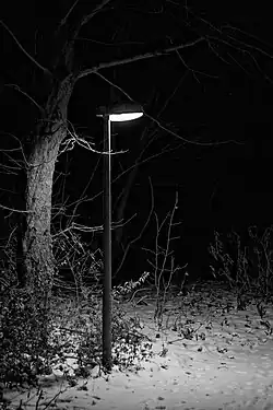 A lamp lighting a small portion of a dark snowy area.