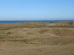 Laoag Sand Dunes facing coast close-up (La Paz, Laoag, Ilocos Norte; 11–17–2022)