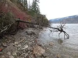 Late Winter Morning overlooking Okanagan Lake at McKinley Landing