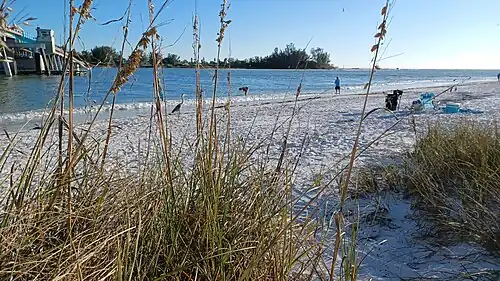 Late afternoon on Coquina Beach (Longboat Pass) looking Southwest