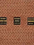 Burial of Jānis Lepse in the Kremlin Wall