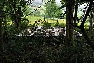 Llanfachreth site of Baptist Well