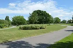 Path and lawn in the foreground with green plants and trees in the background