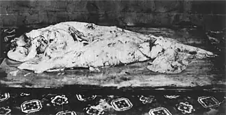 #30 (25/11?/1873), The mutilated mantle of the specimen from Logy Bay, photographed in Moses Harvey's home (the caudal fin is visible on the right). This original photograph appears not to have been published prior to Aldrich (1991:458, fig. 1B).