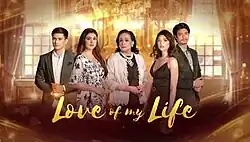 An image of Tom Rodriguez, Carla Abellana, Coney Reyes, Rhian Ramos and Mikael Daez standing inside a house. The series title is displayed on the lower center of the image.